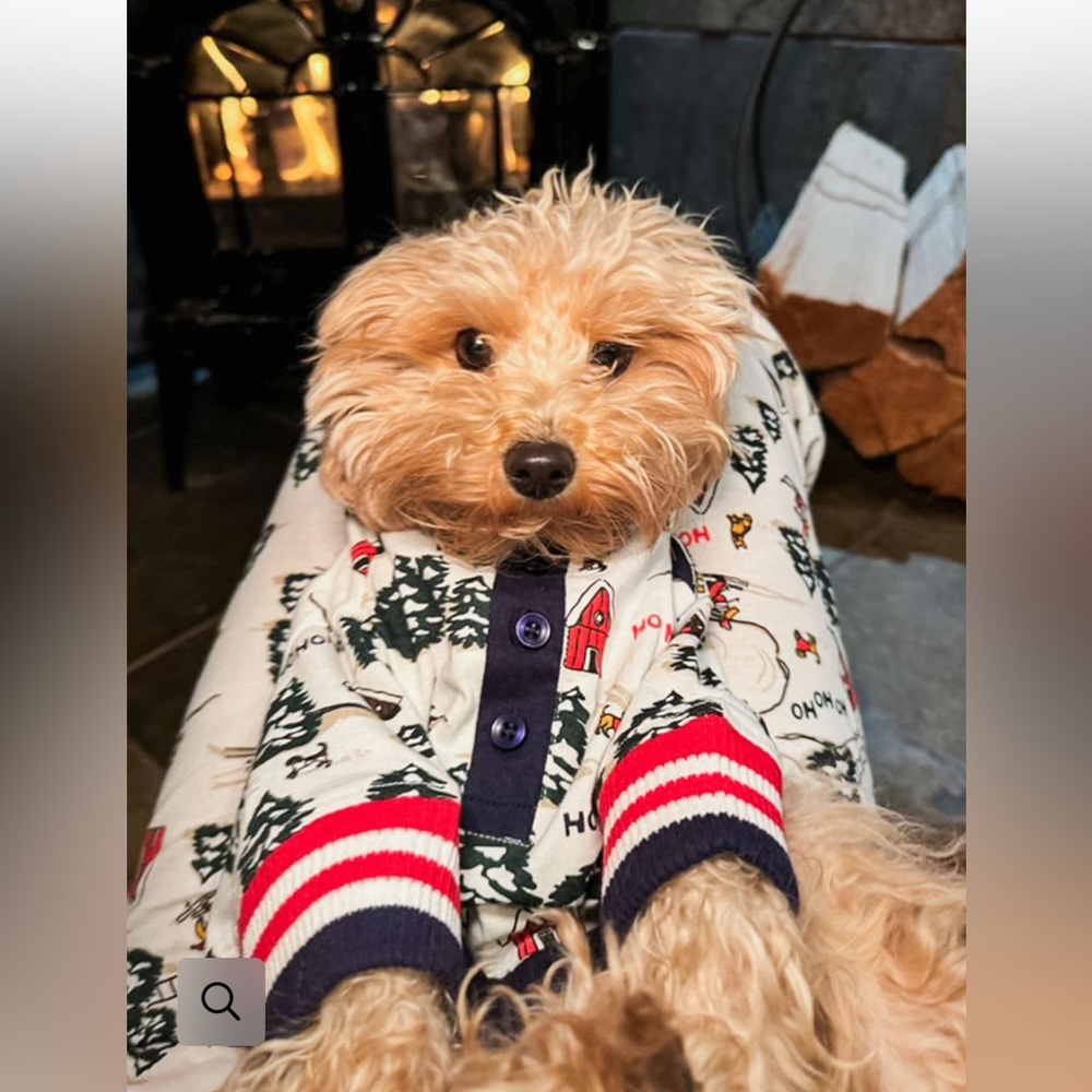 Where’s Santa Dog Pyjamas (by Dog Threads)